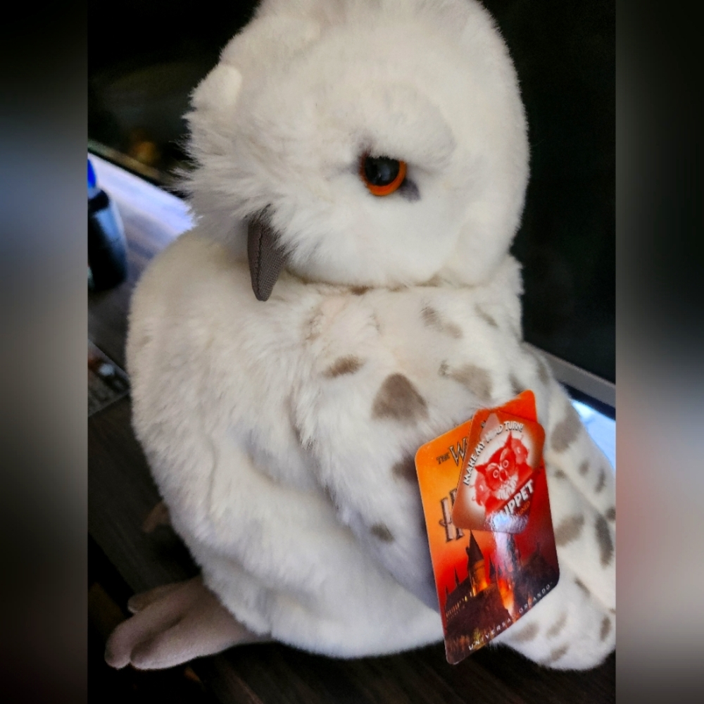 Hedwig Harry Potter Owl